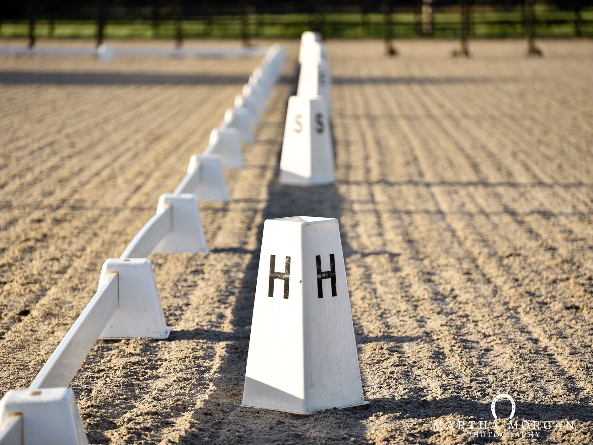 Kings Sedgemoor Equestrian Centre