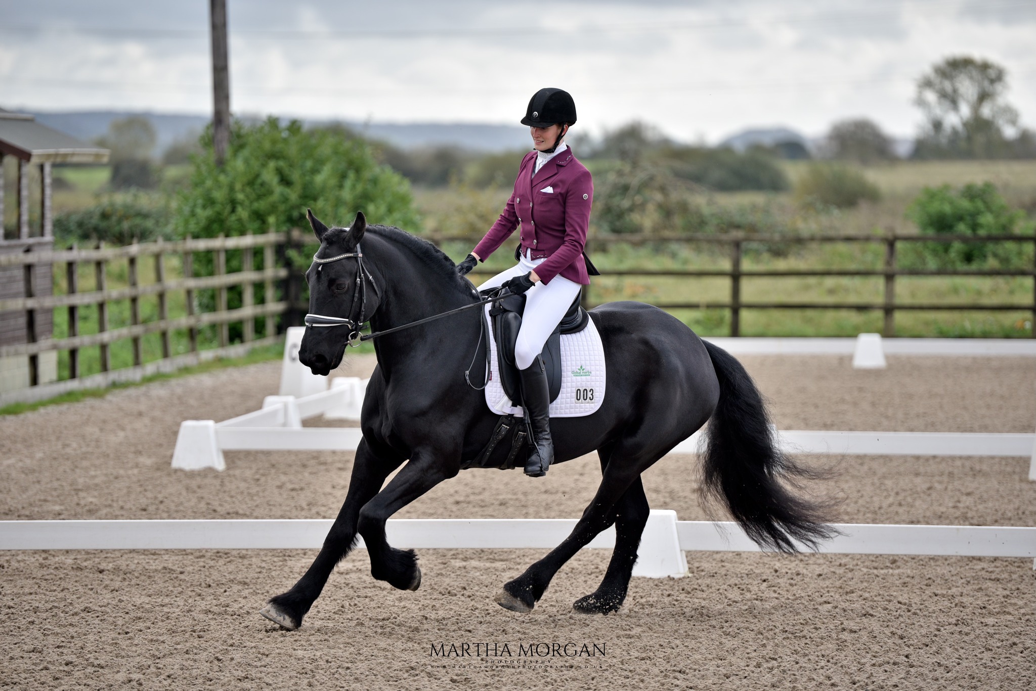 Kings Sedgemoor Equestrian Centre